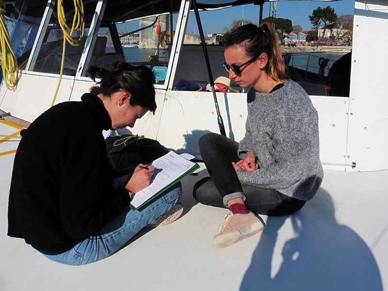 reunion travail en mer a la voile la rochelle